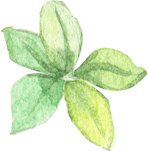 TAMAKA